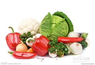 養生食品篇 蔬菜與苗木的健康之道