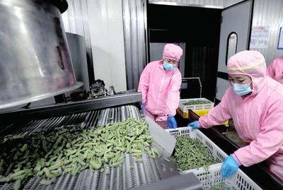 資本入局，電商煥新 生態(tài)循環(huán)農(nóng)業(yè)與農(nóng)村電商共繪鄉(xiāng)村振興新圖景